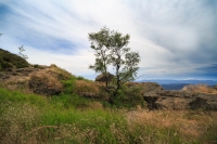 Das Steinbühler Gesenke mit einer wilden Landschaft