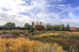 Herrlicher Herbst