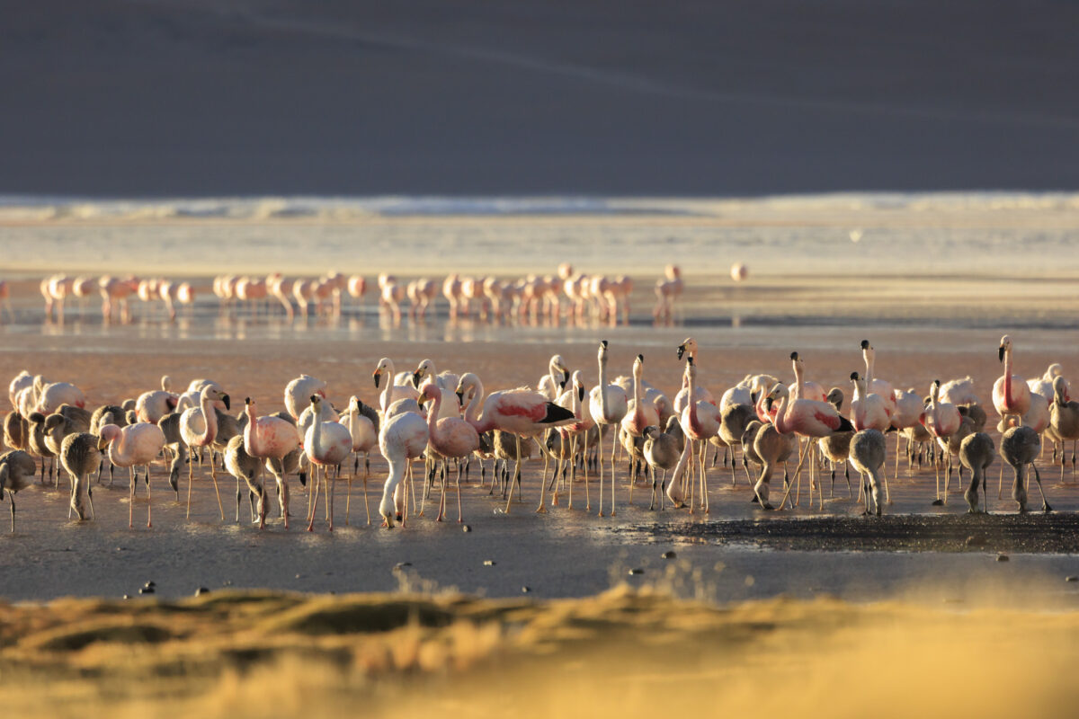 Photo: Portfolio Naturfotografie