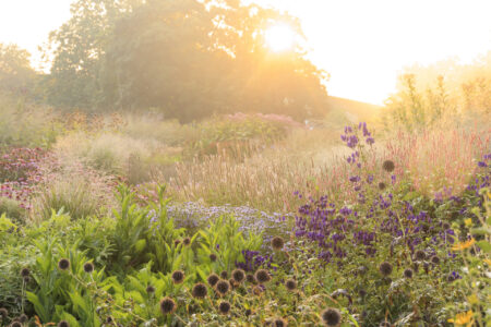 Gartenfotografie