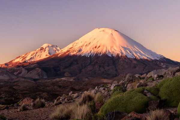 Photo: Altiplano