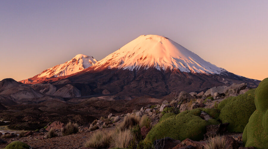 Photo: Altiplano