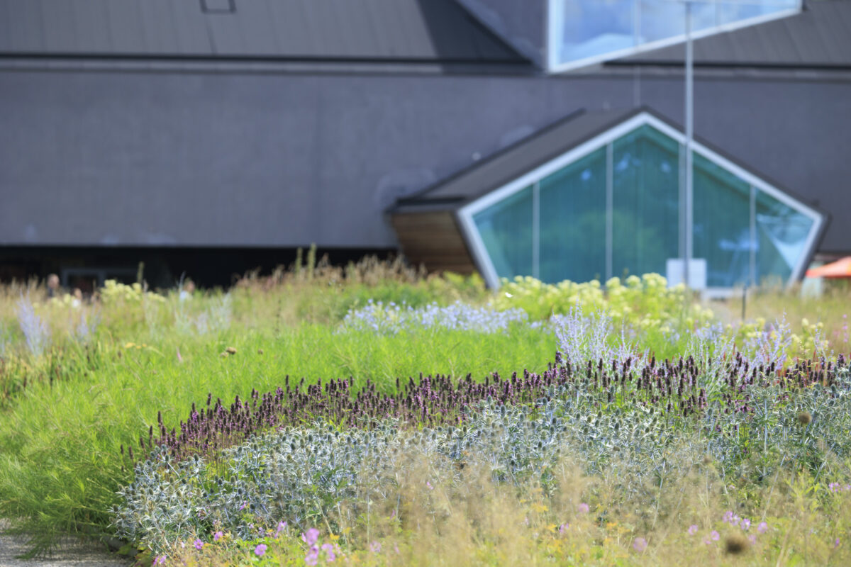 Photo: Vitra Campus und Piet Oudolf