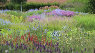 Photo: Workshop Gartenfotografie mit Sylvia Knittel am Samstag, 10. August von 13:30 bis ca. 21:00 Uhr im Arboretum Park Härle (AUSGEBUCHT)