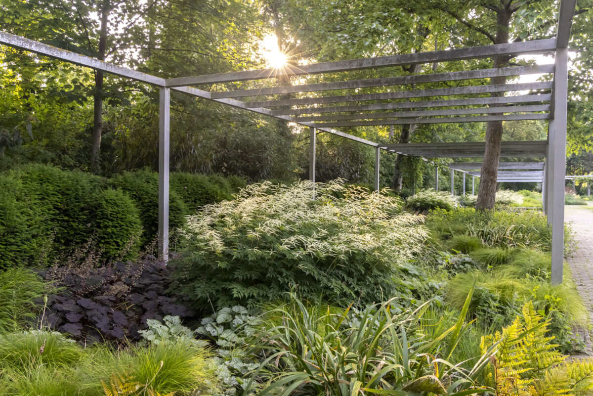 Photo: Workshop Gartenfotografie mit Sylvia Knittel: 14./15. Juni 2025 im Luisenpark (Mannheim) und Ebertpark (Ludwigshafen)