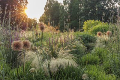 Luisenpark, Mannheim, Harald Sauer, Foto: Sylvia Knittel